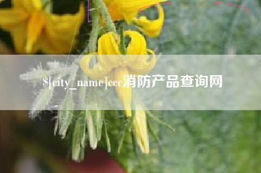 固原ccc消防产品查询网