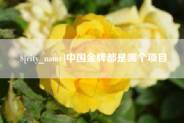 固原中国金牌都是哪个项目