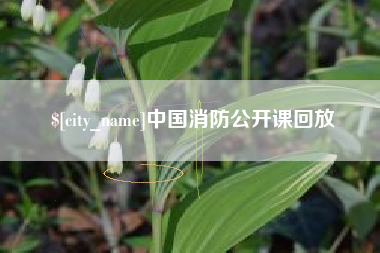 固原中国消防公开课回放