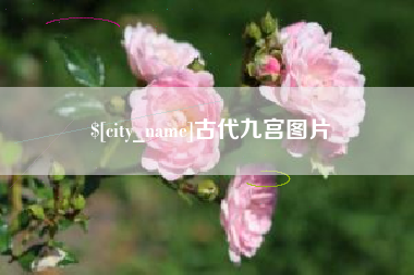 固原古代九宫图片