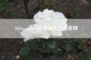 固原中国消防产品官网