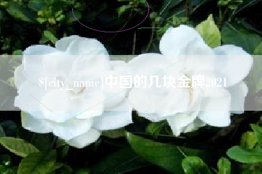 固原中国的几块金牌2021