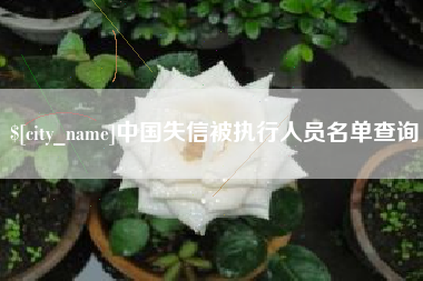固原中国失信被执行人员名单查询