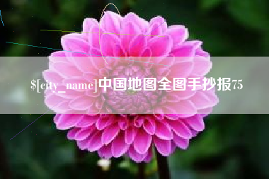 固原中国地图全图手抄报75