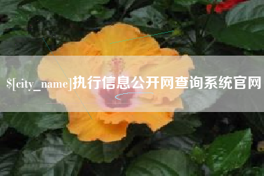 固原执行信息公开网查询系统官网