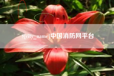 固原中国消防网平台