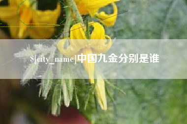 固原中国九金分别是谁