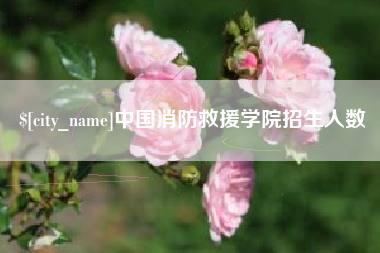 固原中国消防救援学院招生人数