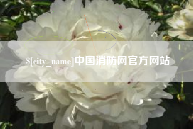 固原中国消防网官方网站