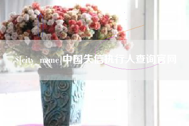 固原中国失信执行人查询官网