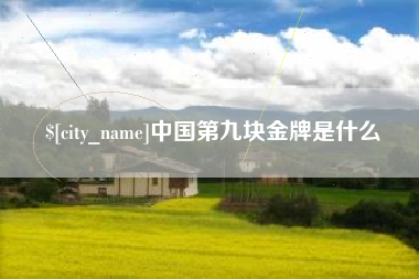 固原中国第九块金牌是什么