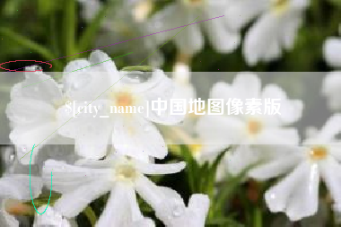 固原中国地图像素版