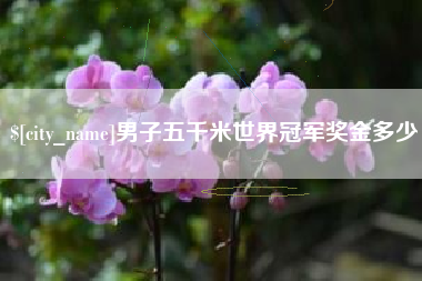 固原男子五千米世界冠军奖金多少
