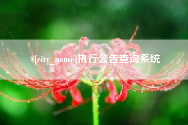 固原执行公告查询系统