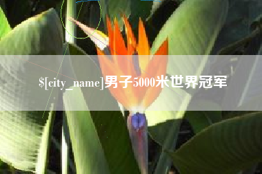 固原男子5000米世界冠军