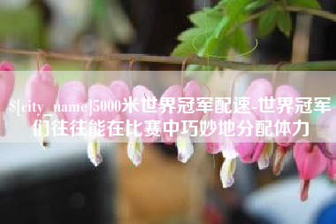 固原5000米世界冠军配速-世界冠军们往往能在比赛中巧妙地分配体力