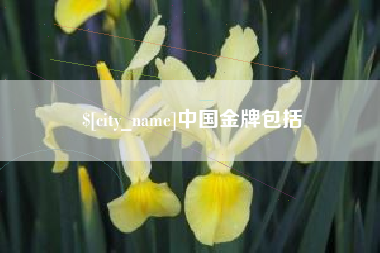 固原中国金牌包括