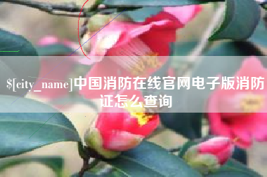 固原中国消防在线官网电子版消防证怎么查询