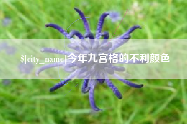 固原今年九宫格的不利颜色