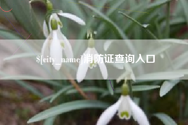 固原消防证查询入口