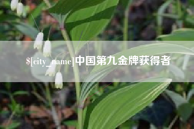 固原中国第九金牌获得者
