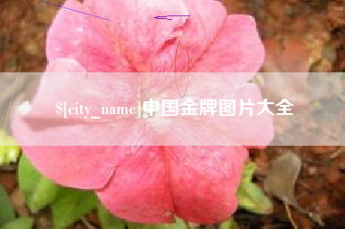 固原中国金牌图片大全