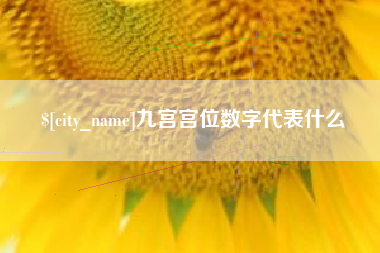 固原九宫宫位数字代表什么