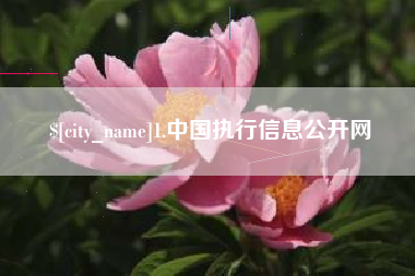 固原1.中国执行信息公开网
