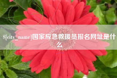 固原国家应急救援员报名网址是什么