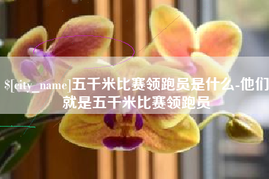 固原五千米比赛领跑员是什么-他们就是五千米比赛领跑员