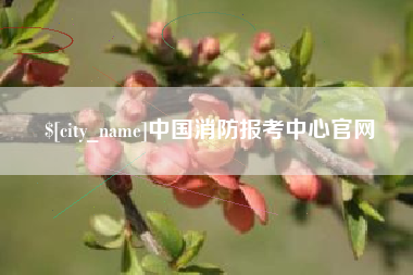 固原中国消防报考中心官网
