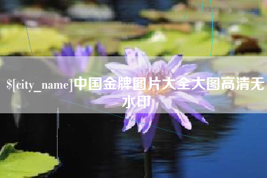 固原中国金牌图片大全大图高清无水印
