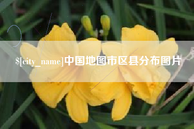 固原中国地图市区县分布图片