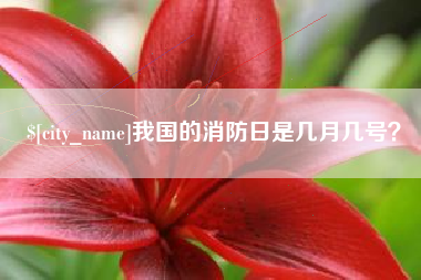 固原我国的消防日是几月几号？