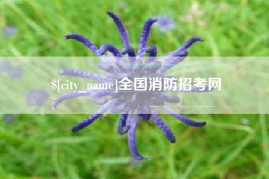 固原全国消防招考网