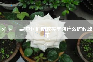 固原中国消防救援学院什么时候政审