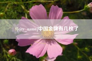 固原中国金牌有几枚了