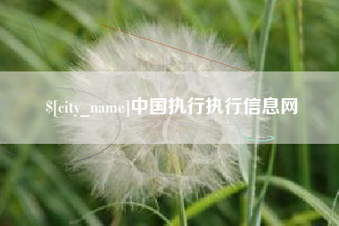 固原中国执行执行信息网