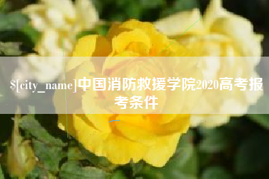 固原中国消防救援学院2020高考报考条件