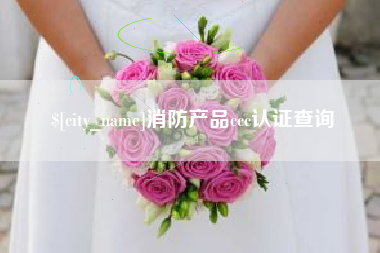 固原消防产品ccc认证查询