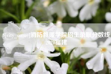 固原消防救援学院招生录取分数线2020福建