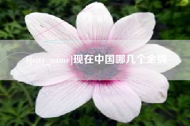 固原现在中国哪几个金牌