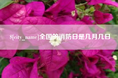 固原全国的消防日是几月几日