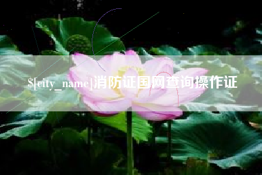 固原消防证国网查询操作证