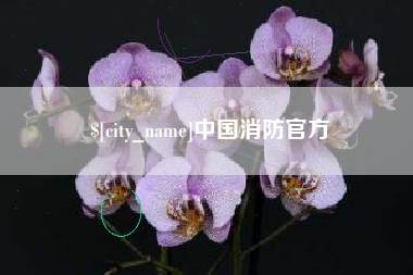 固原中国消防官方