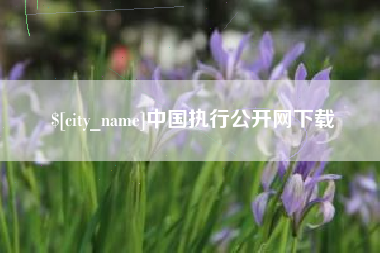 固原中国执行公开网下载