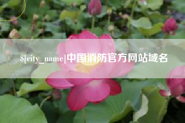 固原中国消防官方网站域名