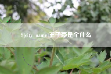 固原王子豪是个什么