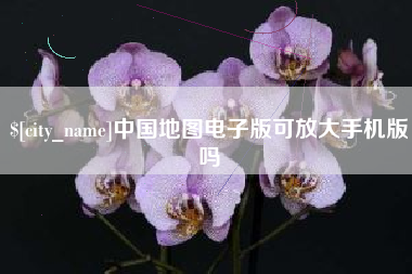 固原中国地图电子版可放大手机版吗