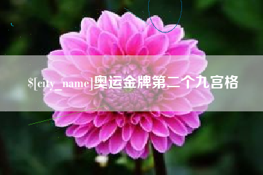 固原奥运金牌第二个九宫格